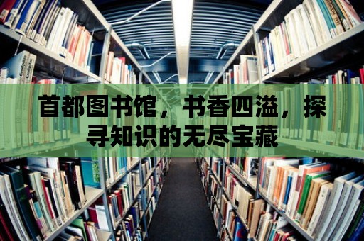 首都圖書館，書香四溢，探尋知識的無盡寶藏