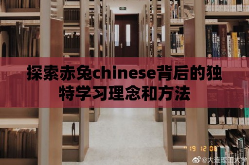 探索赤兔chinese背后的獨特學(xué)習(xí)理念和方法