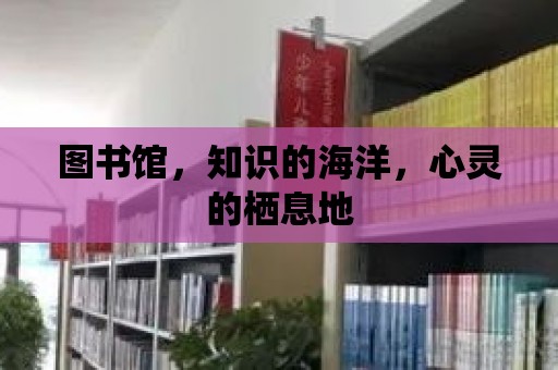 圖書館，知識的海洋，心靈的棲息地