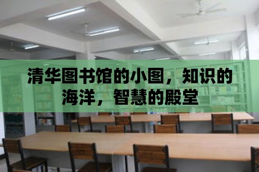 清華圖書館的小圖，知識的海洋，智慧的殿堂