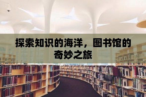 探索知識的海洋，圖書館的奇妙之旅