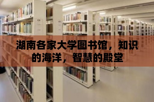 湖南各家大學圖書館，知識的海洋，智慧的殿堂