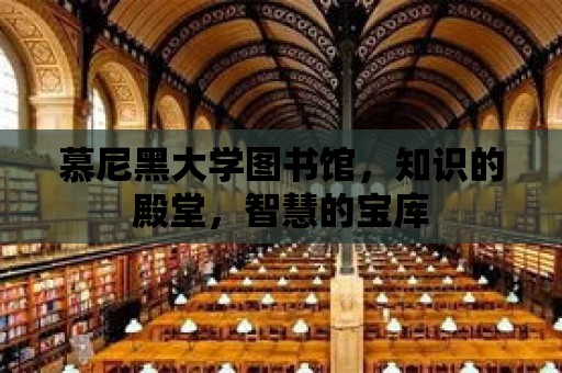 慕尼黑大學(xué)圖書館，知識的殿堂，智慧的寶庫