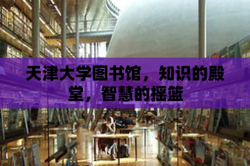 天津大學圖書館，知識的殿堂，智慧的搖籃