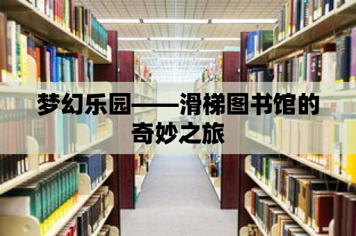 夢(mèng)幻樂園——滑梯圖書館的奇妙之旅