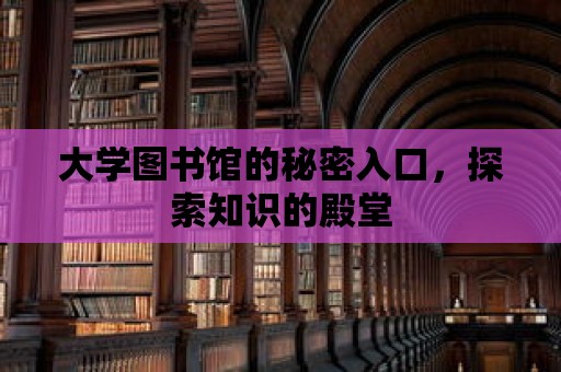 大學(xué)圖書館的秘密入口，探索知識的殿堂