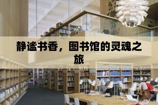 靜謐書香，圖書館的靈魂之旅