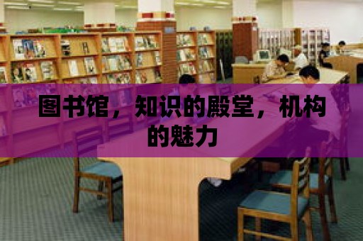 圖書館，知識(shí)的殿堂，機(jī)構(gòu)的魅力