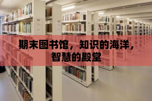 期末圖書館，知識的海洋，智慧的殿堂