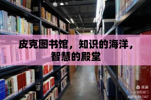 皮克圖書館，知識的海洋，智慧的殿堂