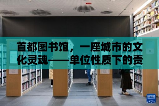 首都圖書館，一座城市的文化靈魂——單位性質下的責任與使命