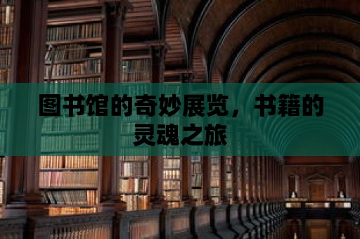 圖書館的奇妙展覽，書籍的靈魂之旅