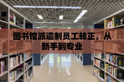 圖書館派遣制員工轉正，從新手到專業