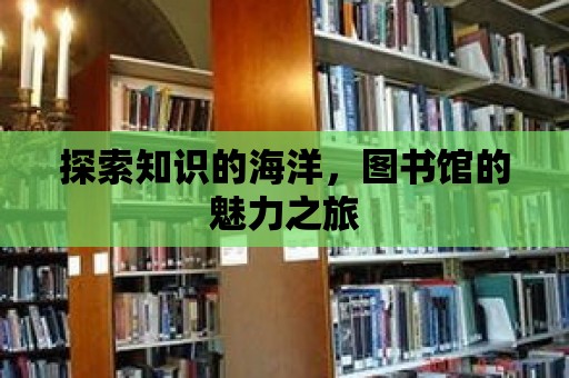 探索知識的海洋，圖書館的魅力之旅