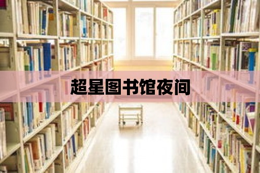 超星圖書館夜間