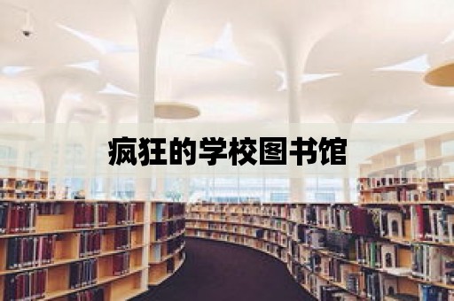 瘋狂的學校圖書館