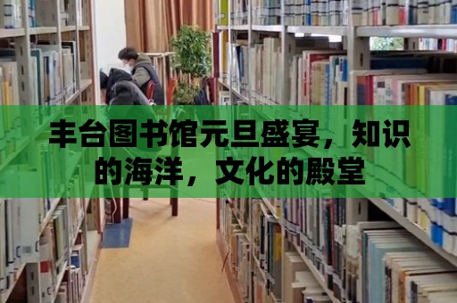 豐臺圖書館元旦盛宴，知識的海洋，文化的殿堂