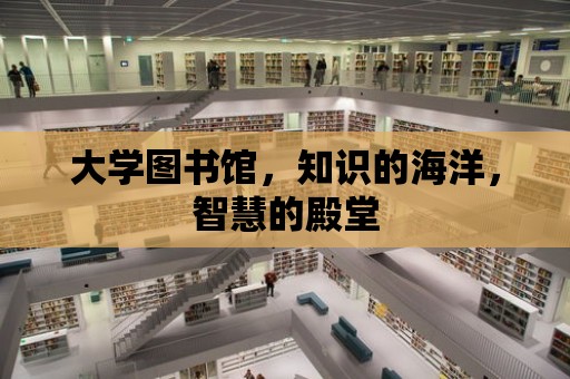 大學圖書館，知識的海洋，智慧的殿堂