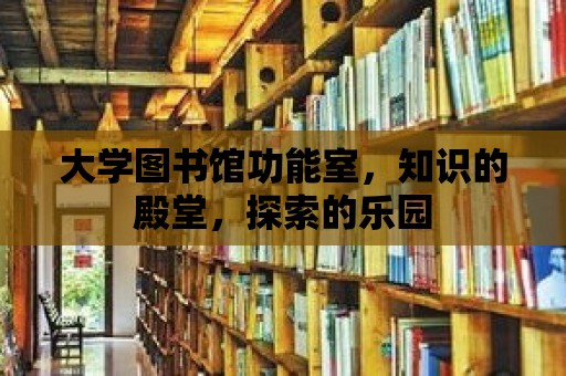 大學(xué)圖書館功能室，知識(shí)的殿堂，探索的樂(lè)園