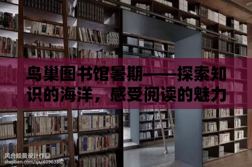 鳥巢圖書館暑期——探索知識的海洋，感受閱讀的魅力