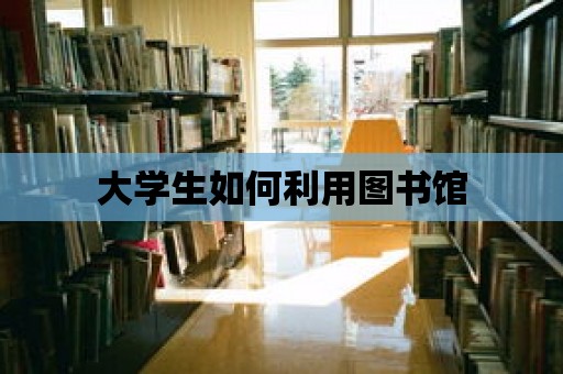 大學生如何利用圖書館