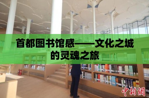 首都圖書館感——文化之城的靈魂之旅