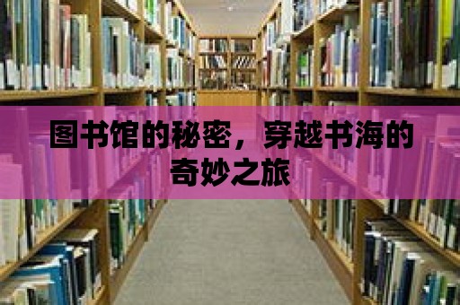 圖書館的秘密，穿越書海的奇妙之旅