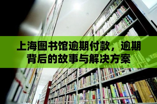 上海圖書館逾期付款，逾期背后的故事與解決方案