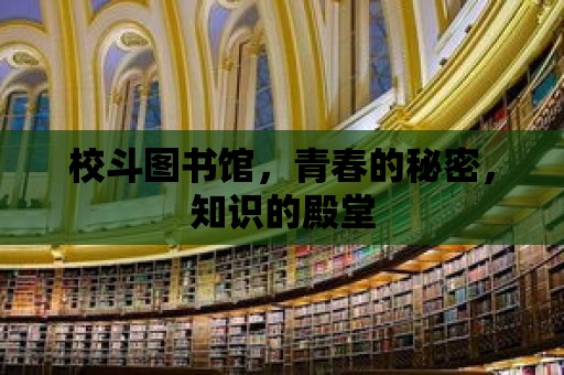 校斗圖書館，青春的秘密，知識的殿堂