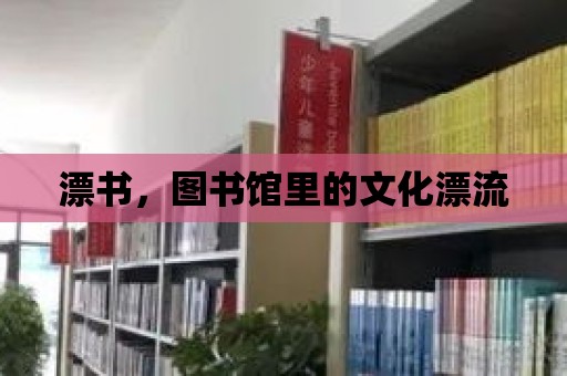 漂書，圖書館里的文化漂流