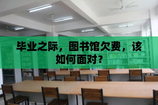 畢業之際，圖書館欠費，該如何面對？