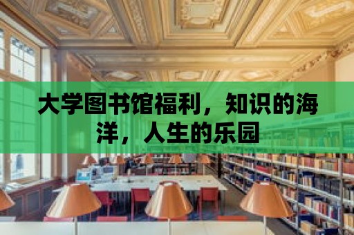 大學圖書館福利，知識的海洋，人生的樂園