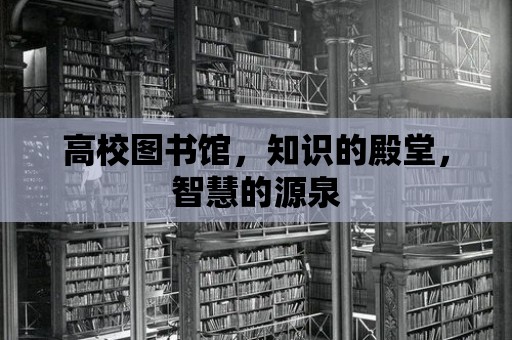 高校圖書館，知識的殿堂，智慧的源泉