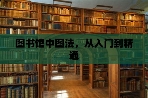 圖書館中圖法，從入門到精通