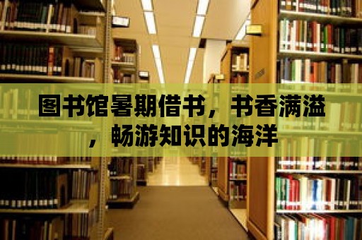 圖書館暑期借書，書香滿溢，暢游知識的海洋