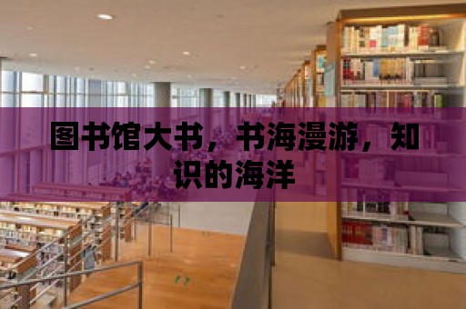 圖書館大書，書海漫游，知識的海洋