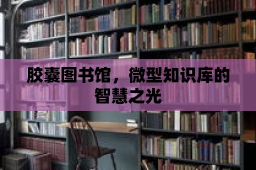 膠囊圖書館，微型知識(shí)庫的智慧之光