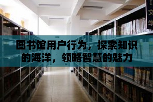 圖書館用戶行為，探索知識的海洋，領略智慧的魅力