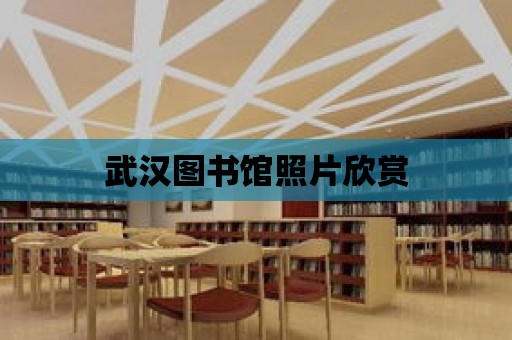 武漢圖書館照片欣賞