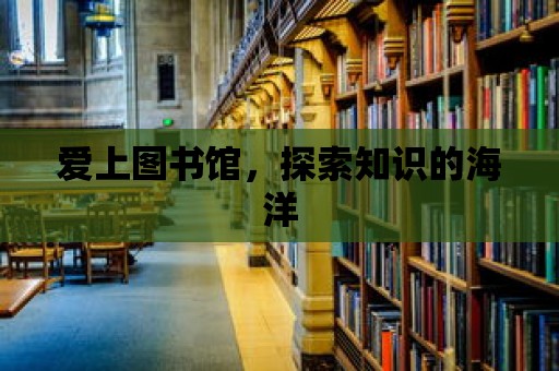 愛上圖書館，探索知識的海洋