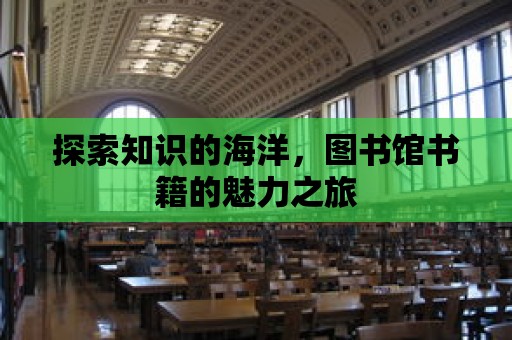 探索知識的海洋，圖書館書籍的魅力之旅