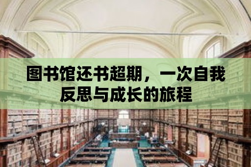 圖書館還書超期，一次自我反思與成長的旅程