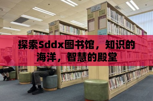 探索Sddx圖書館，知識(shí)的海洋，智慧的殿堂