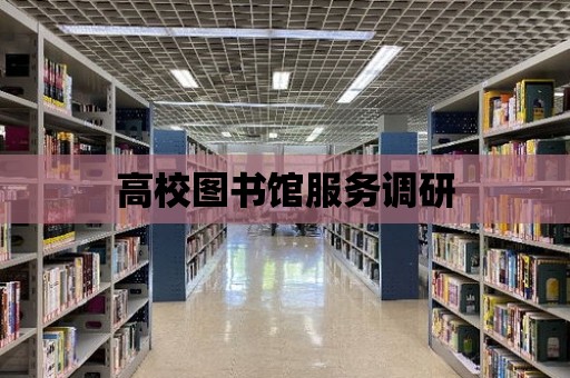 高校圖書館服務調研