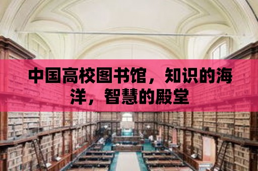 中國高校圖書館，知識的海洋，智慧的殿堂