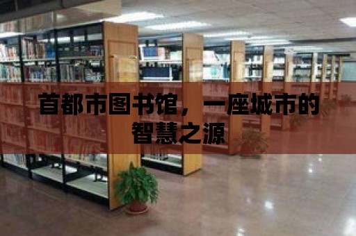 首都市圖書館，一座城市的智慧之源