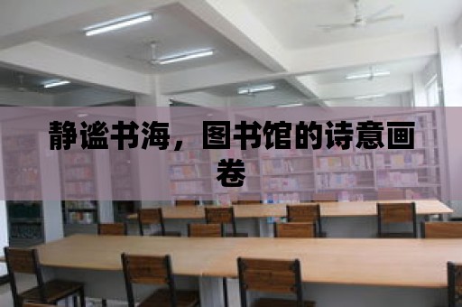 靜謐書海，圖書館的詩意畫卷