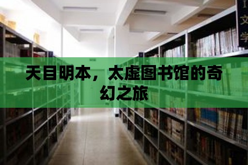 天目明本，太虛圖書館的奇幻之旅