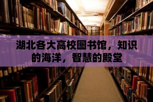 湖北各大高校圖書館，知識(shí)的海洋，智慧的殿堂