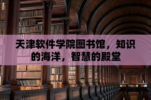 天津軟件學(xué)院圖書(shū)館，知識(shí)的海洋，智慧的殿堂